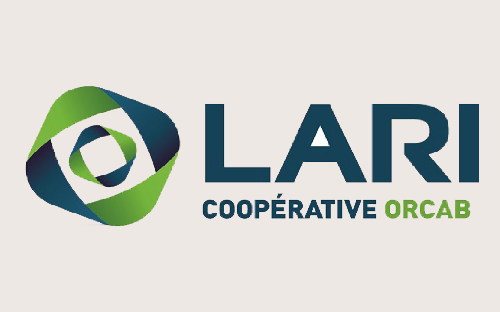 Logo Lari