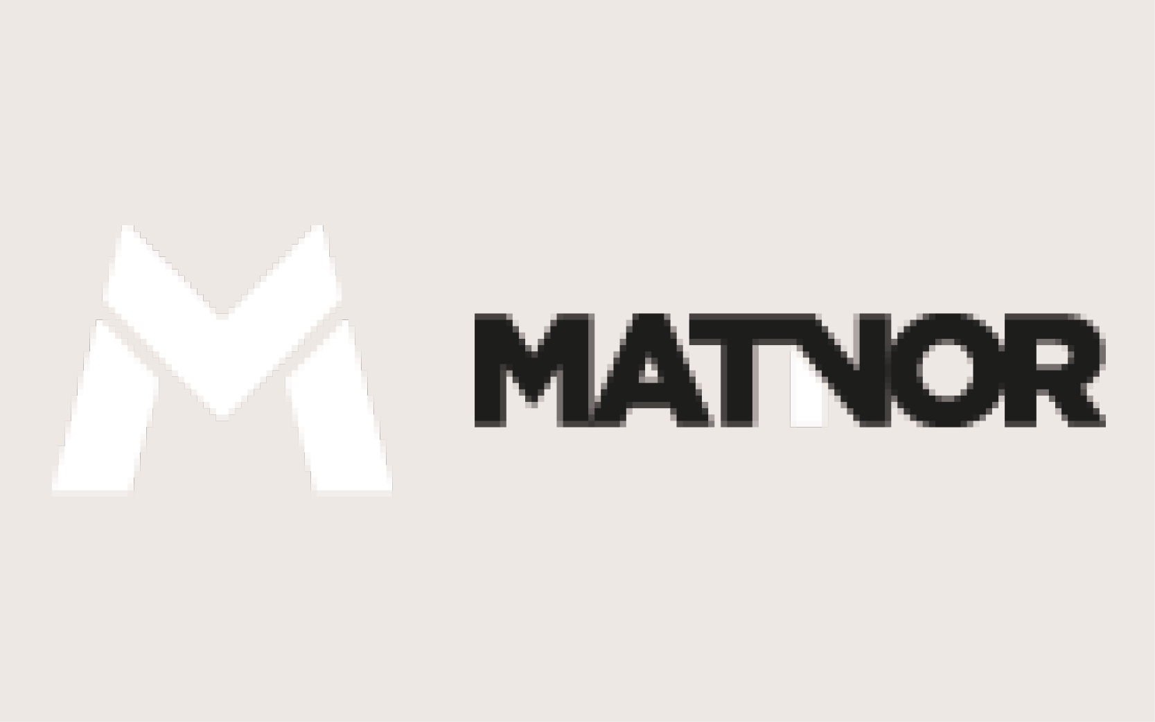 Logo Matnor